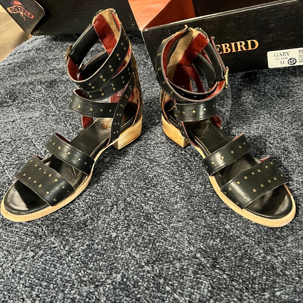 Freebird Gaby size 11 black